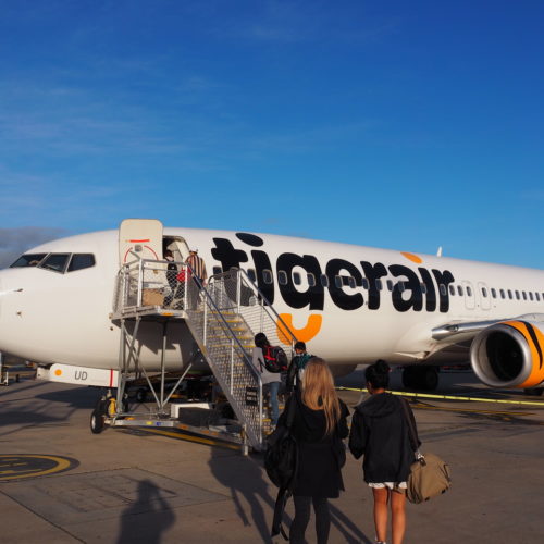 tigerair lost baggage